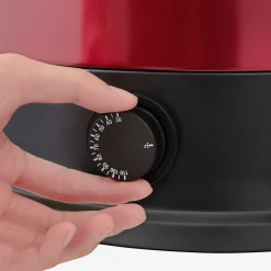 Arebos Einkochautomat mit Thermostat Sale