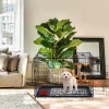 Arebos Hundekäfig klappbar 24" S Discount