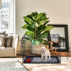 Arebos Hundekäfig klappbar 24" S Discount