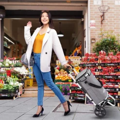 Arebos 3in1 Einkaufstrolley Grau