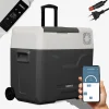 Arebos Kompressor Kühlbox mit Rollen 47 L Discount