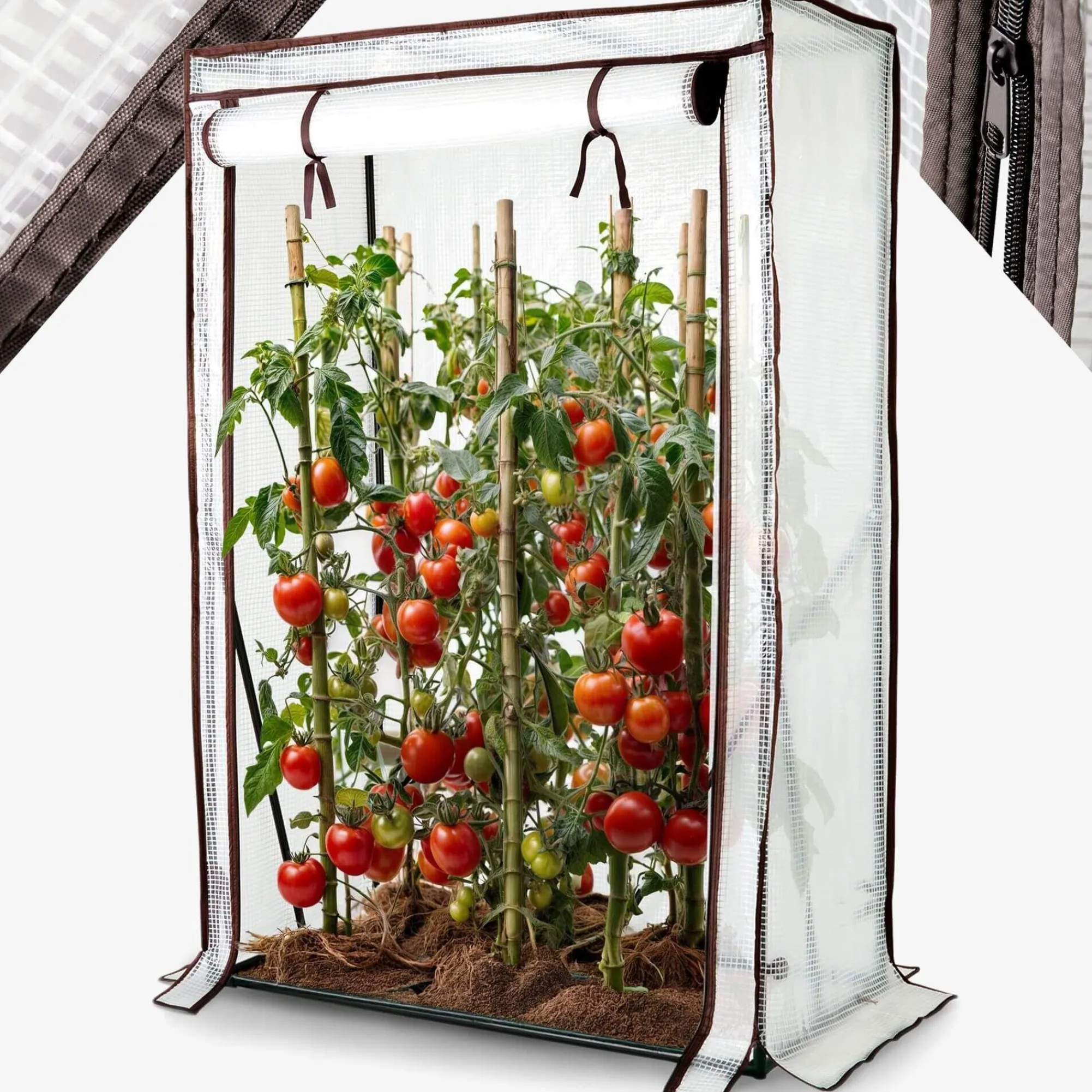 Arebos Tomatengewächshaus 100 x 50 x 150 cm